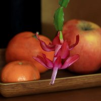 *** :: Игорь Kуленко