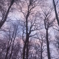 Рассвет :: Сапсан 