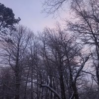 Рассвет :: Сапсан 