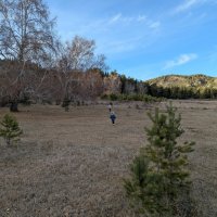 Шагает по планете Земля. :: Андрей Хлопонин Шагает по планете Земля. :: Андрей Хлопонин