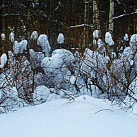 Февраль..В царстве зимы! :: Владимир