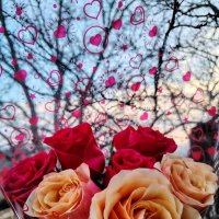 Розы :: Наталья (ShadeNataly) Мельник