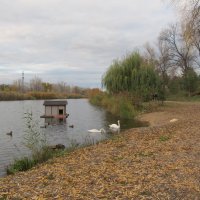 Линёвка :: Елена Шаламова Линёвка :: Елена Шаламова