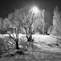 ЗИМНЯЯ НОЧЬ :: Виктор Никитенко