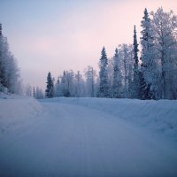Зимняя дорога ... :: Ravile 