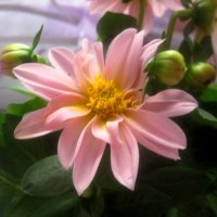 ВЕСЕННИЙ :: Елена Семигина