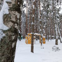 спрятался от тренажера :: Владимир 