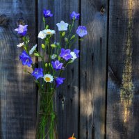 Груши :: Владимир Гришин