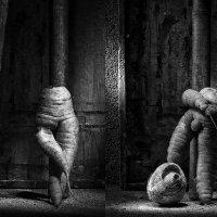 Инь и Янь :: Владимир Нефедов