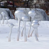 Космические опята. :: Наталья Вязигина