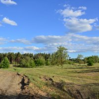 Мои дрроги. :: Виктор