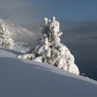 В зимней шубке :: Марина Фомина.