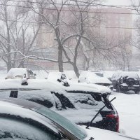 Февраль :: Galina Solovova