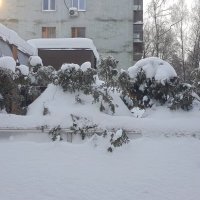 Намело февралём :: Galina Solovova