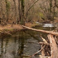 Переправа. :: Сергей Воротников Переправа. :: Сергей Воротников