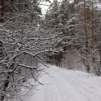 *** :: Александр Николаев *** :: Александр Николаев