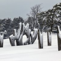 Солнечное :: skijumper Иванов