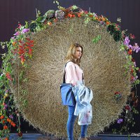 сними меня фотограф :: Олег Лукьянов