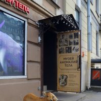 Музей аномалий тела :: zavitok *