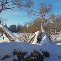 Петергоф. Ольгин пруд :: Наталья Герасимова