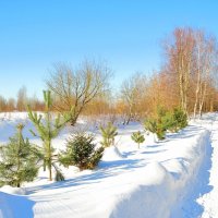 Тропинка вдоль реки :: Андрей Снегерёв
