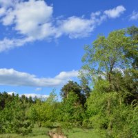 Весна. :: Виктор