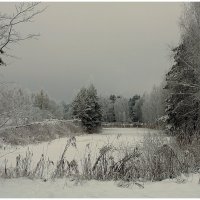 *** :: Aleksandr Gal