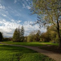 В солнечном ноябре... :: Николай Гирш