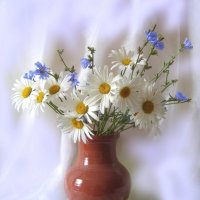 Лето... :: Галина Кузьмина