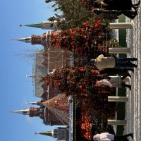 Москва :: Натали 