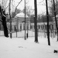 Птичник :: Игорь Белоногов