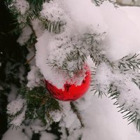 ** :: Сергей Кочнев