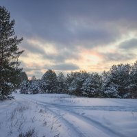 Там на заснеженных дорожках, следы... :: Валерий VRN