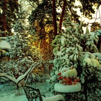 Отлучилась на чуть-чуть... :: veilins veilins