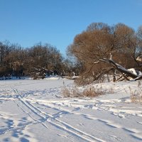 Петергоф. Ольгин пруд :: Наталья Герасимова Петергоф. Ольгин пруд :: Наталья Герасимова