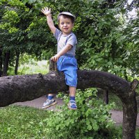 ВЕСЁЛЫЙ НАЕЗДНИК :: Владимир Кроливец