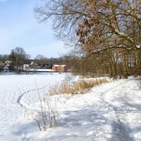 Февраль на Смоленщине (репортаж из поездок по области). :: Милешкин Владимир Алексеевич 