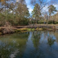 Пруд :: **** vedin