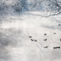 Зимовка на реке. :: Владимир Безбородов