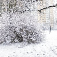 Замело :: Евгений 