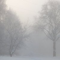 Туманное зимнее утро :: Анастасия Логинова Туманное зимнее утро :: Анастасия Логинова