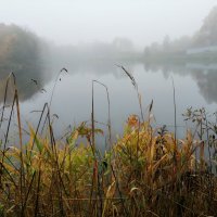 остров света :: Лидия Меркулова