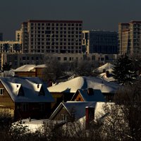 Вариант контраста. :: Петр Беляков