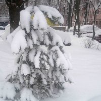 Замело :: Елена Семигина