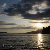 Природа Крыма :: Amazing Cosmea Природа Крыма :: Amazing Cosmea