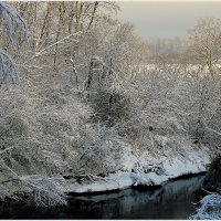 *** :: Aleksandr Gal