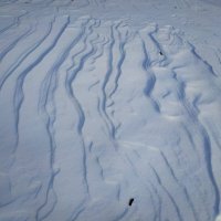 Просто снег :: Андрей Лукьянов