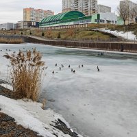 Ростовские зарисовки :: Александр Гапоненко