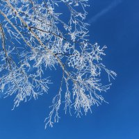 Февральское небо :: Марсель Валеев