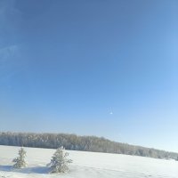 Придорожный пейзаж :: Ирэн 